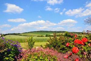 Vue sur les collines alentour